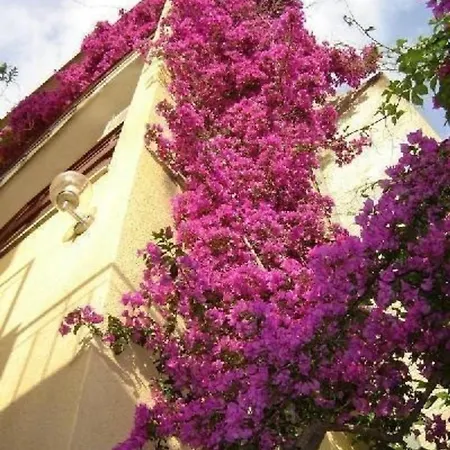 Apartment Garbin Ventus Makrsk Makarska